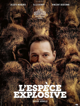 king max affiche basse def
